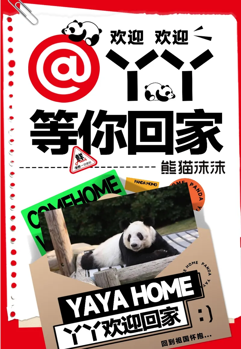 熊猫沫沫海报：@YY 等你回家，熊猫丫丫照片做成牛皮纸信封